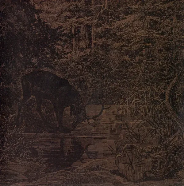 Cover Of Stone, Wind, and Pillor