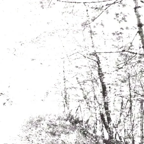Cover The White