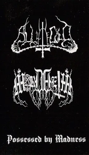 Cover Possessed by Madness