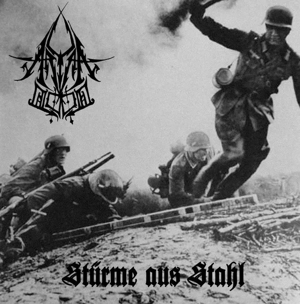 Cover Stürme aus Stahl