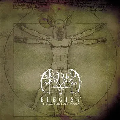 Cover Elegist - Hymns for Lost Souls