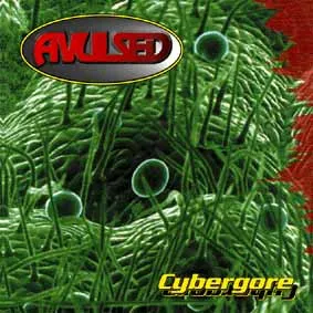 Cover Cybergore