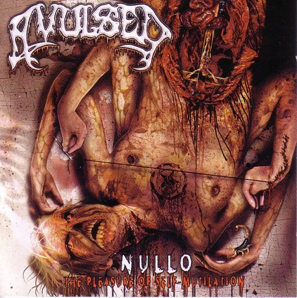 Cover Nullo (The Pleasure of Self-Mutilation)