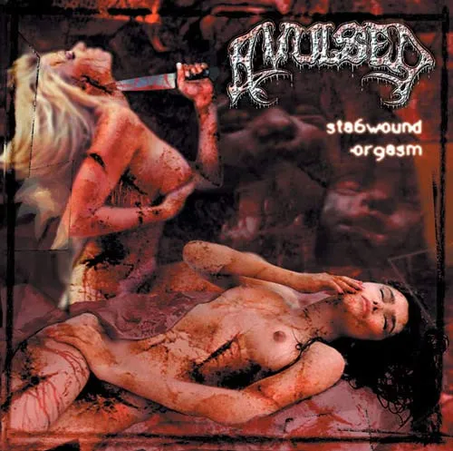 Cover Stabwound Orgasm