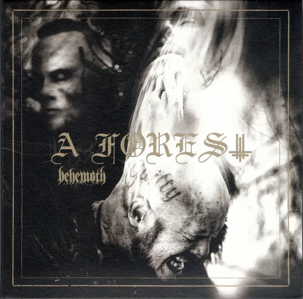 Cover A Forest