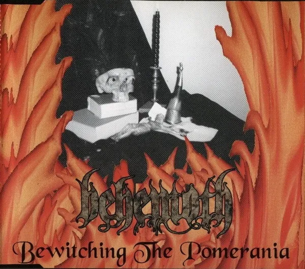 Cover Bewitching the Pomerania