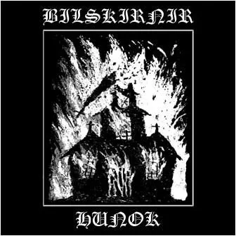 Cover Allied by Heathen Blood