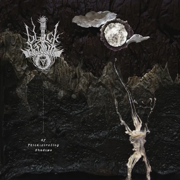 Cover Of Thick-Circling Shadows