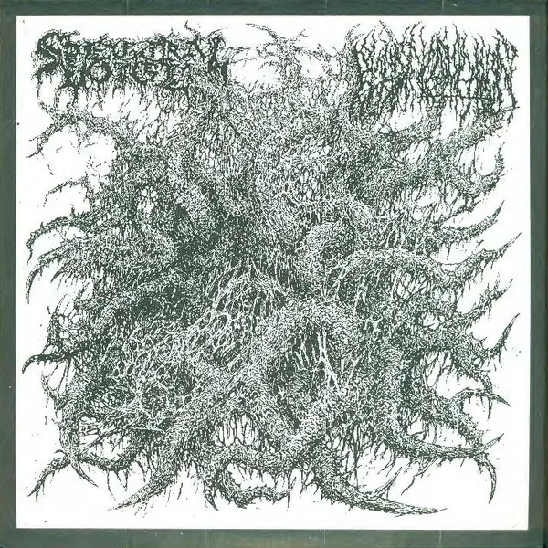Cover Spectral Voice / Blood Incantation
