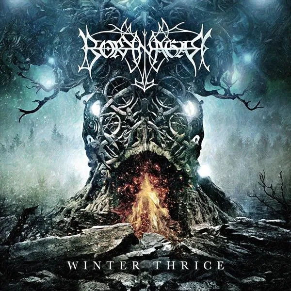 Cover Winter Thrice