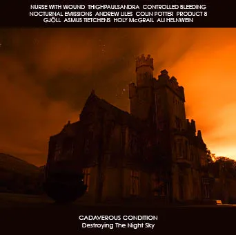 Cover Destroying the Night Sky