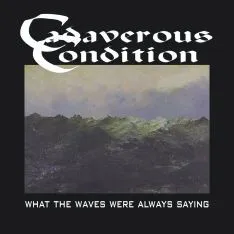Cover What the Waves Were Always Saying