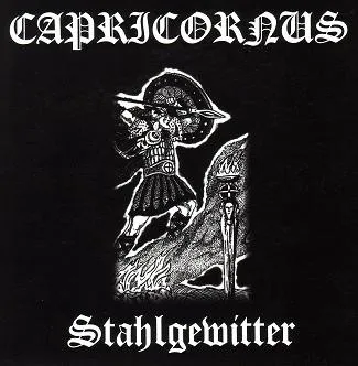 Cover Stahlgewitter