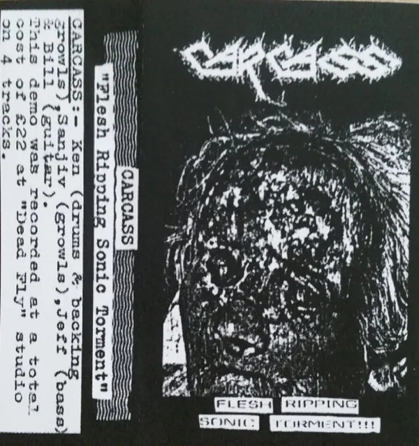 Cover Flesh Ripping Sonic Torment!!!