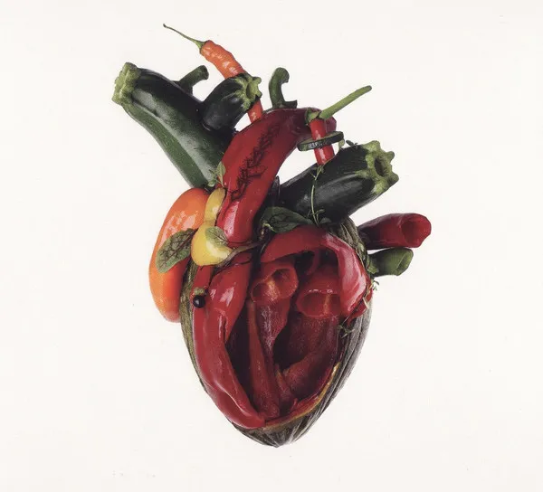 Cover Torn Arteries