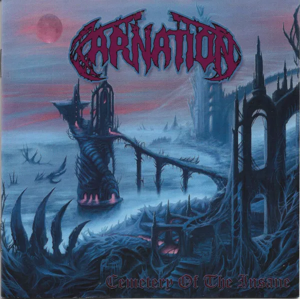 Cover Cemetery Of The Insane