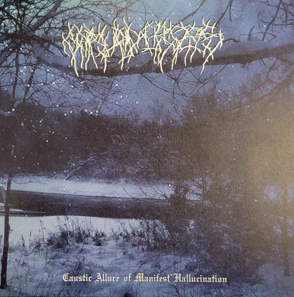 Cover Caustic Allure of Manifest Hallucination