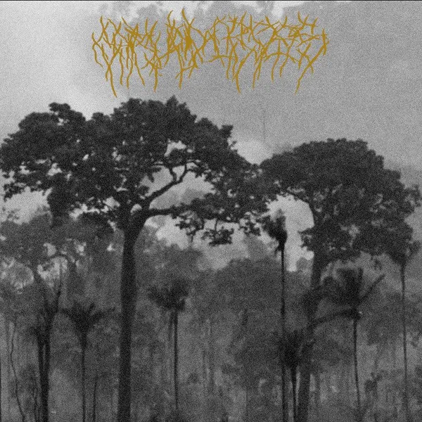 Cover Demo I - III
