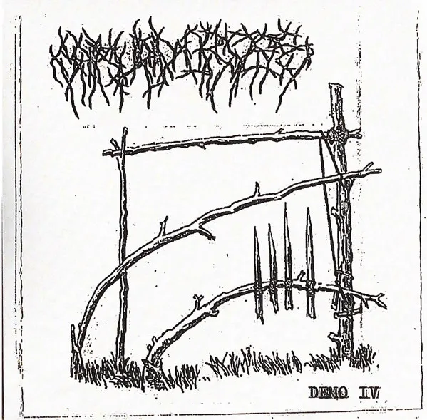 Cover Demo IV
