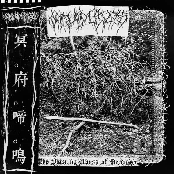 Cover The Yawning Abyss of Perdition