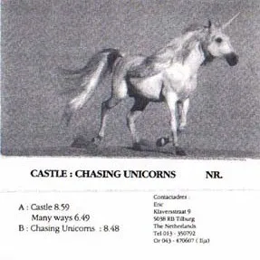 Cover Chasing Unicorns