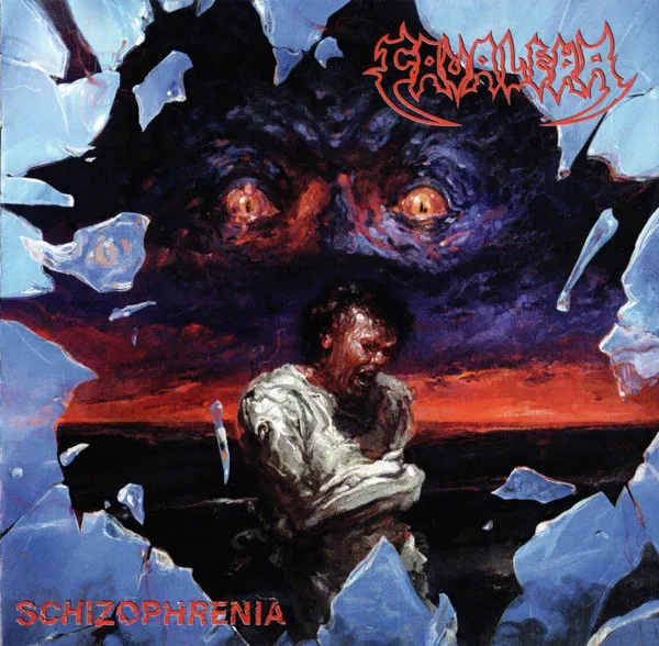 Cover Schizophrenia