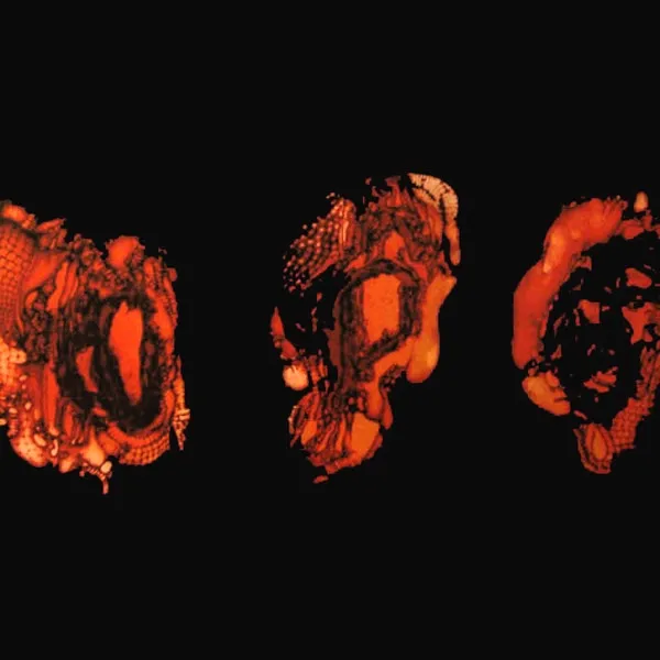 Cover Kénôse