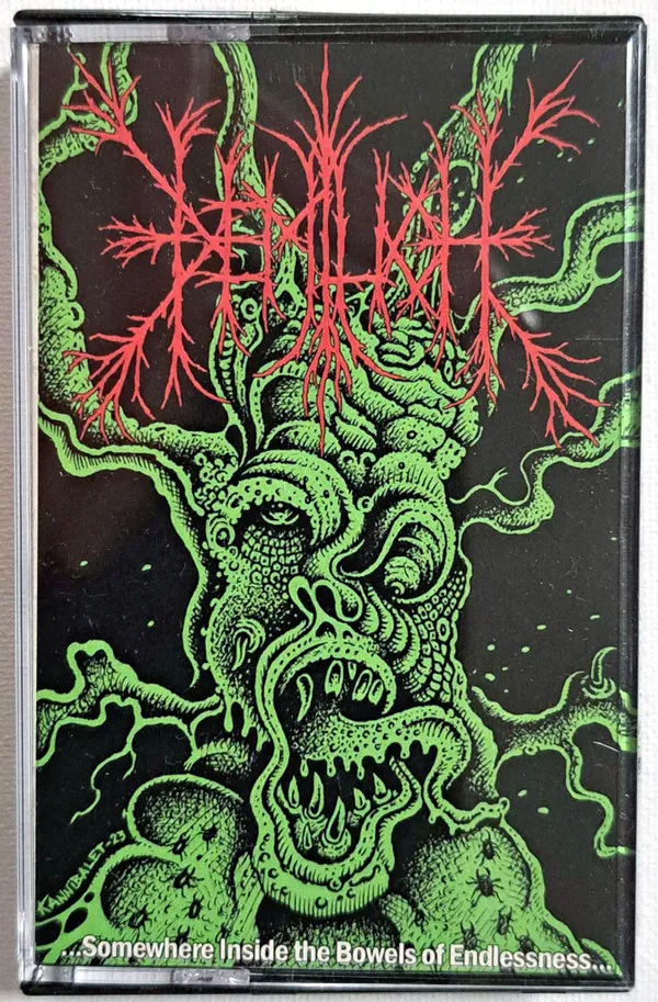 Cover ...Somewhere Inside the Bowels of Endlessness...