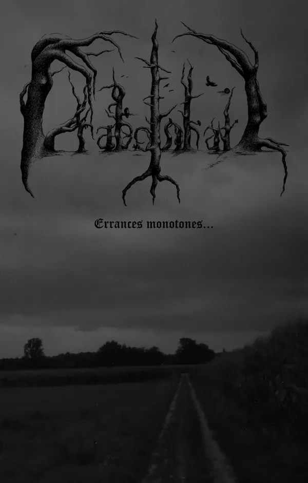 Cover Errances monotones...
