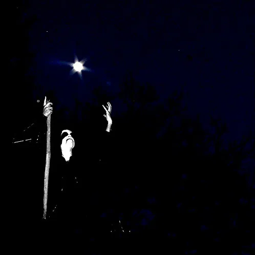 Cover Nuit en édifice