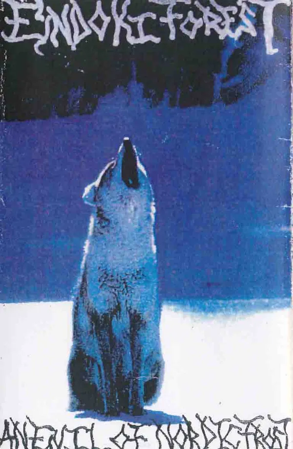 Cover An Evil Of Nordic Frost