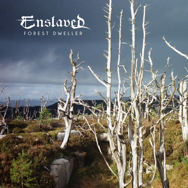 Cover Forest Dweller