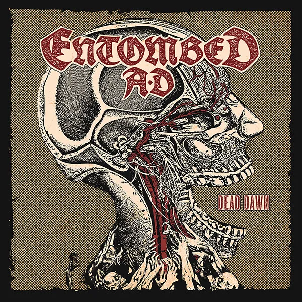 Cover Dead Dawn