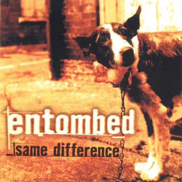 Cover Same Difference