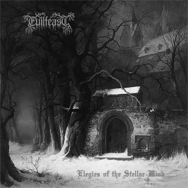 Cover Elegies Of The Stellar Wind