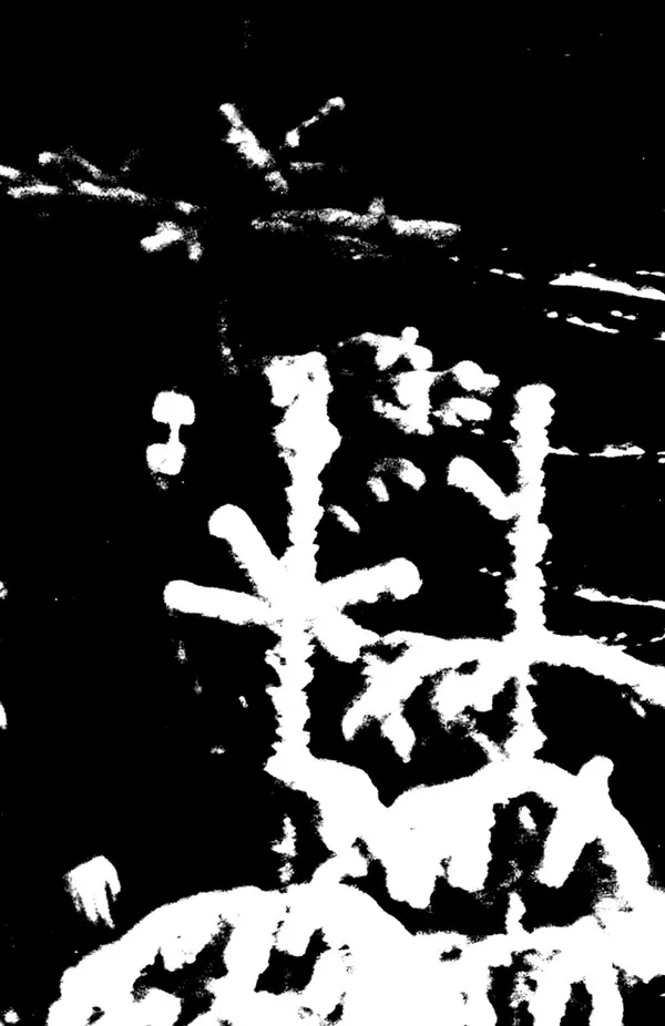 Cover Misantropins väg