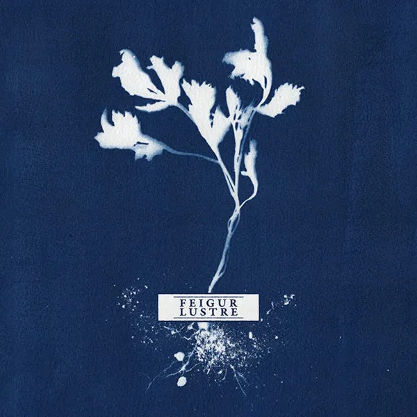 Cover Feigur / Lustre