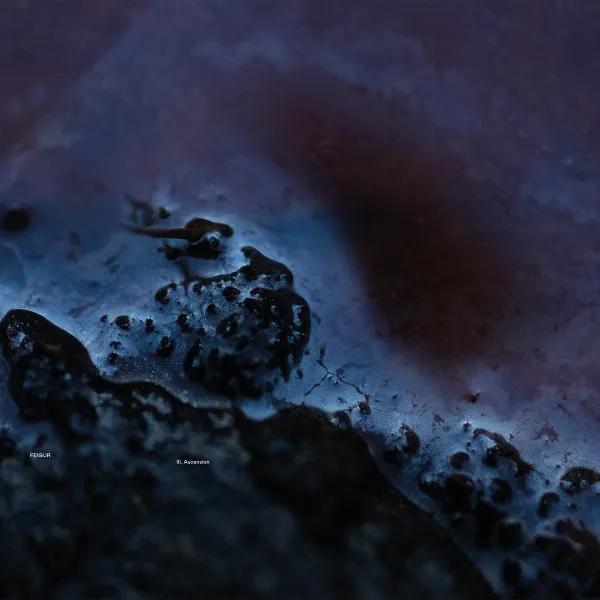 Cover III, Ascension
