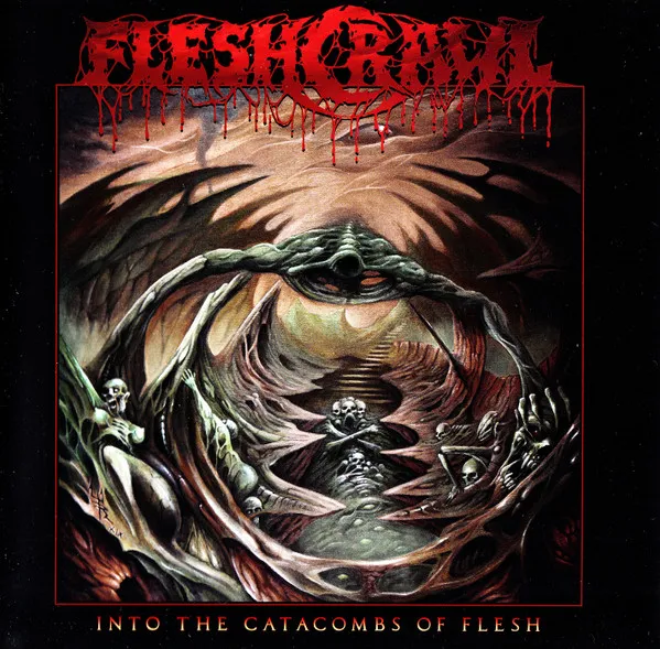 Cover Into the Catacombs of Flesh