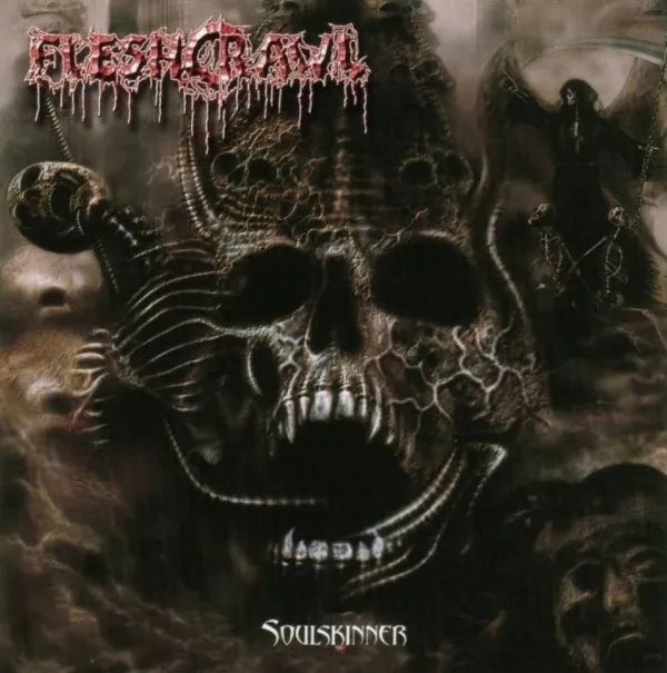 Cover Soulskinner