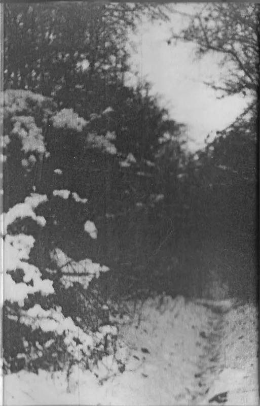Cover The Third Winter