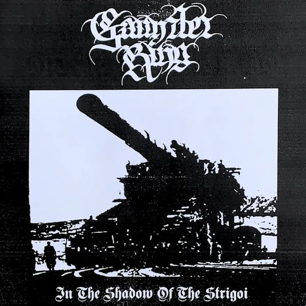 Cover In the Shadow of the Strigoi