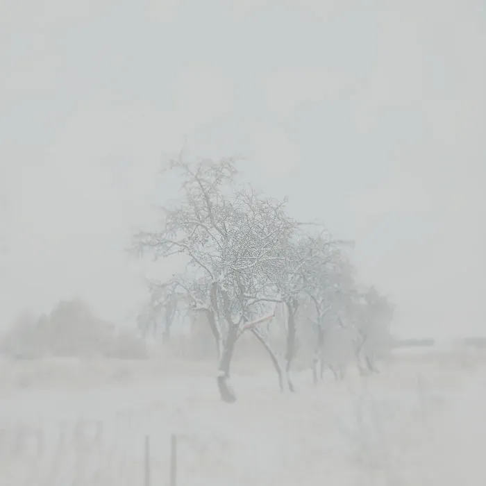 Cover Гнёт / Self.lief