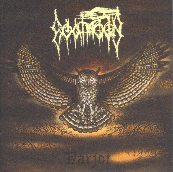 Cover Varjot