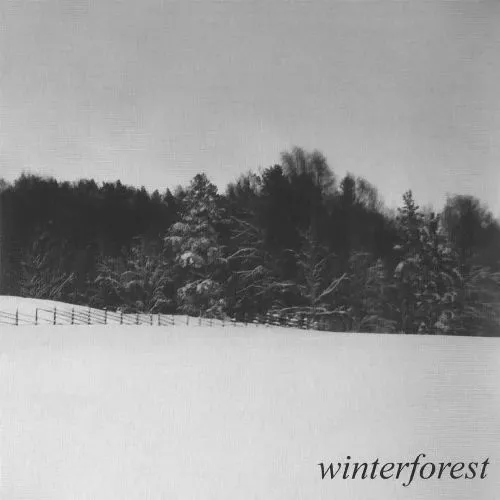 Cover Winterforest