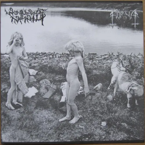 Cover Horna / Woods of Infinity