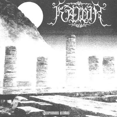 Cover Suicidogenic / Sinn