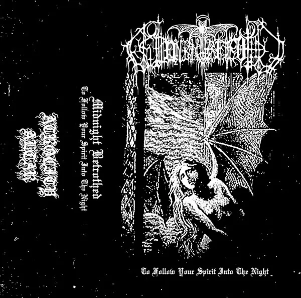 Cover To Follow Your Spirit Into The Night
