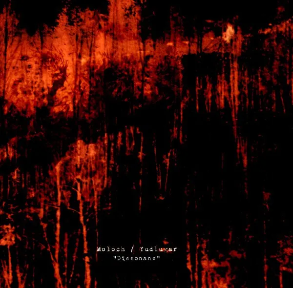 Cover Dissonanz