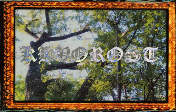 Cover Khvorost